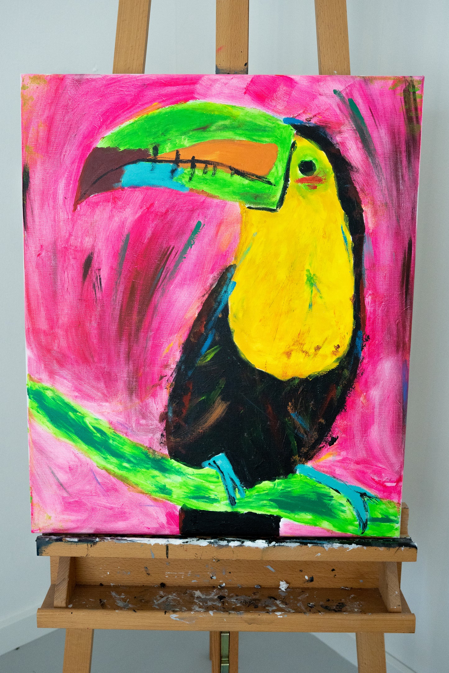 Toucan
